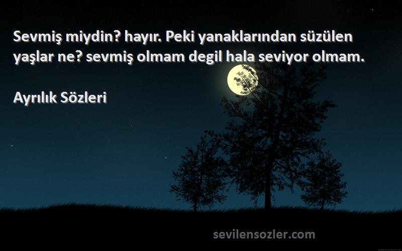 Ayrılık  - Sevmiş miydin? hayır. Peki yanaklarından süzülen yaşlar ne? sevmiş olmam degil hala seviyor olmam.