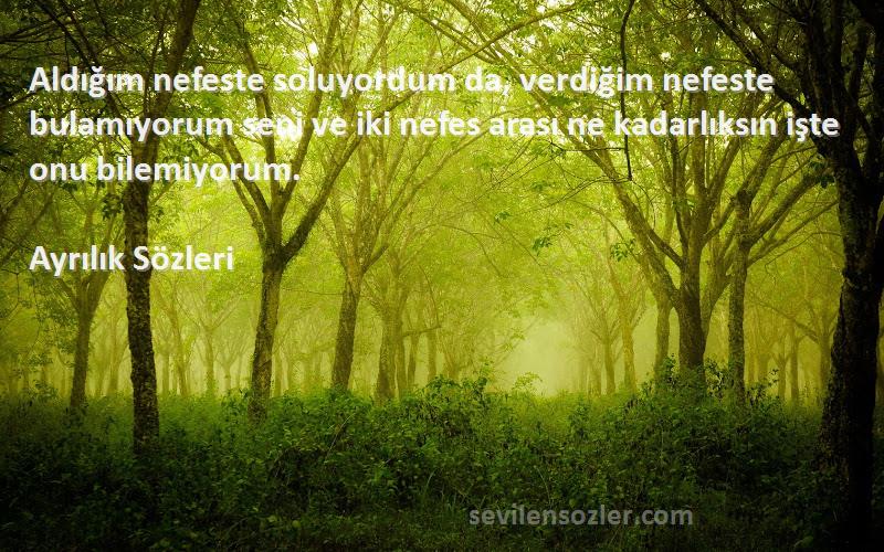 Ayrılık  Sözleri 
Aldığım nefeste soluyordum da, verdiğim nefeste bulamıyorum seni ve iki nefes arası ne kadarlıksın işte onu bilemiyorum.