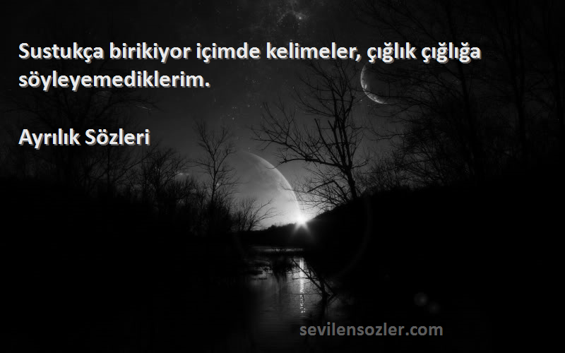 Ayrılık  - Sustukça birikiyor içimde kelimeler, çığlık çığlığa söyleyemediklerim.