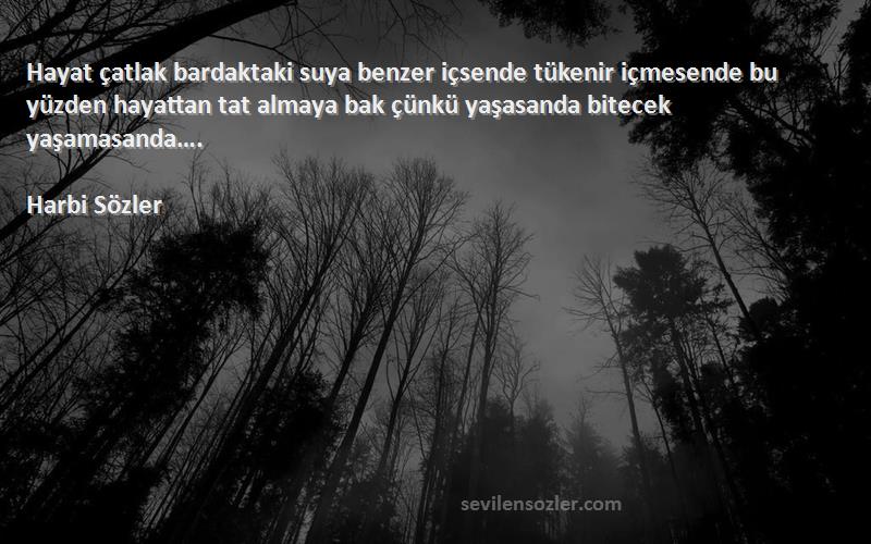 Harbi Sözler Sözleri 
Hayat çatlak bardaktaki suya benzer içsende tükenir içmesende bu yüzden hayattan tat almaya bak çünkü yaşasanda bitecek yaşamasanda….