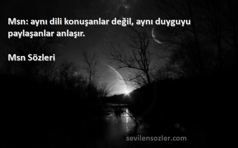 Msn  - Msn: aynı dili konuşanlar değil, aynı duyguyu paylaşanlar anlaşır.