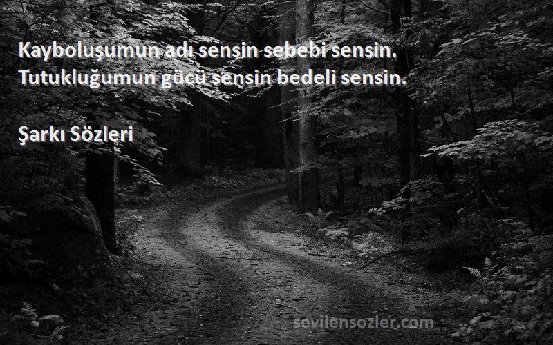 Şarkı  - Kayboluşumun adı sensin sebebi sensin. Tutukluğumun gücü sensin bedeli sensin.