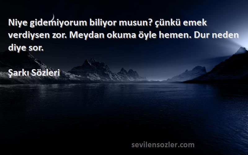 Şarkı  Sözleri 
Niye gidemiyorum biliyor musun? çünkü emek verdiysen zor. Meydan okuma öyle hemen. Dur neden diye sor.