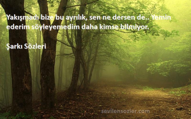 Şarkı  Sözleri 
Yakışmadı bize bu ayrılık, sen ne dersen de.. Yemin ederim söyleyemedim daha kimse bilmiyor.