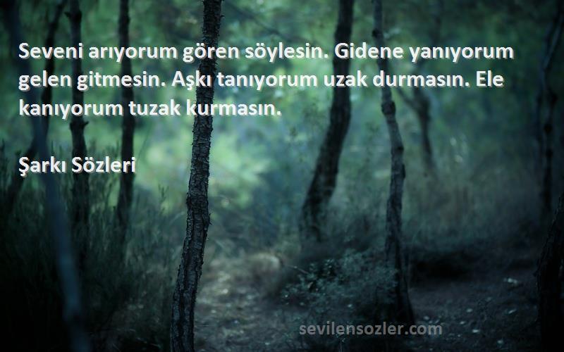 Şarkı  Sözleri 
Seveni arıyorum gören söylesin. Gidene yanıyorum gelen gitmesin. Aşkı tanıyorum uzak durmasın. Ele kanıyorum tuzak kurmasın.