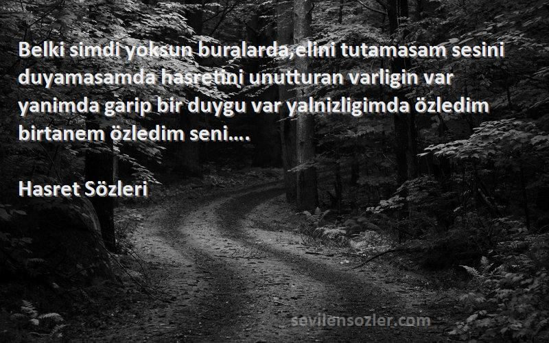 Hasret  Sözleri 
Belki simdi yoksun buralarda,elini tutamasam sesini duyamasamda hasretini unutturan varligin var yanimda garip bir duygu var yalnizligimda özledim birtanem özledim seni….