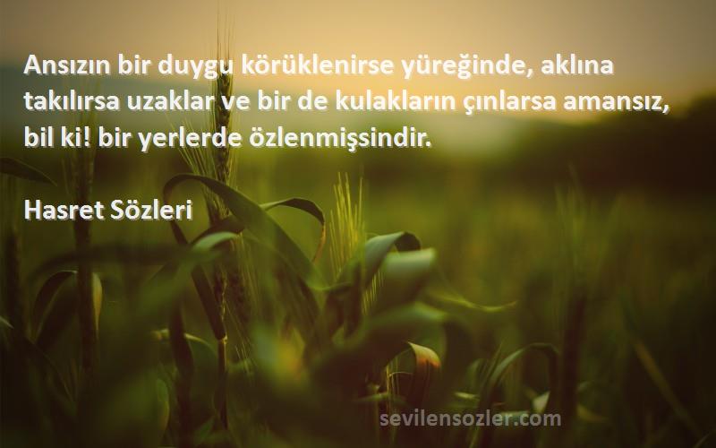 Hasret  Sözleri 
Ansızın bir duygu körüklenirse yüreğinde, aklına takılırsa uzaklar ve bir de kulakların çınlarsa amansız, bil ki! bir yerlerde özlenmişsindir.