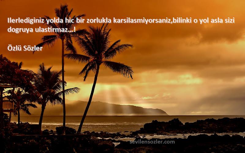 Özlü Sözler - Ilerlediginiz yolda hic bir zorlukla karsilasmiyorsaniz,bilinki o yol asla sizi dogruya ulastirmaz…!...