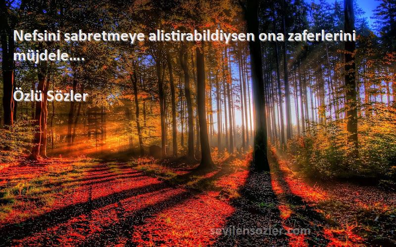 Özlü Sözler - Nefsini sabretmeye alistirabildiysen ona zaferlerini müjdele….