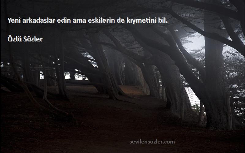 Özlü Sözler - Yeni arkadaslar edin ama eskilerin de kıymetini bil.