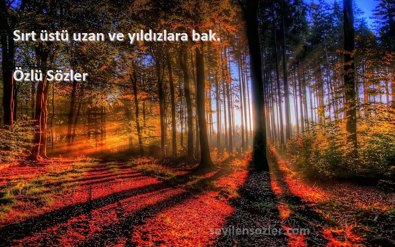 Özlü Sözler - Sırt üstü uzan ve yıldızlara bak.