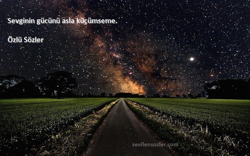 Özlü Sözler - Sevginin gücünü asla küçümseme.