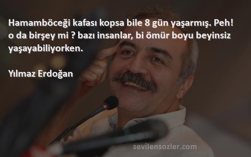 Yılmaz Erdoğan Sözleri 
Hamamböceği kafası kopsa bile 8 gün yaşarmış. Peh! o da birşey mi ? bazı insanlar, bi ömür boyu beyinsiz yaşayabiliyorken.