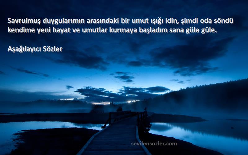 Aşağılayıcı Sözler Sözleri 
Savrulmuş duygularımın arasındaki bir umut ışığı idin, şimdi oda söndü kendime yeni hayat ve umutlar kurmaya başladım sana güle güle.