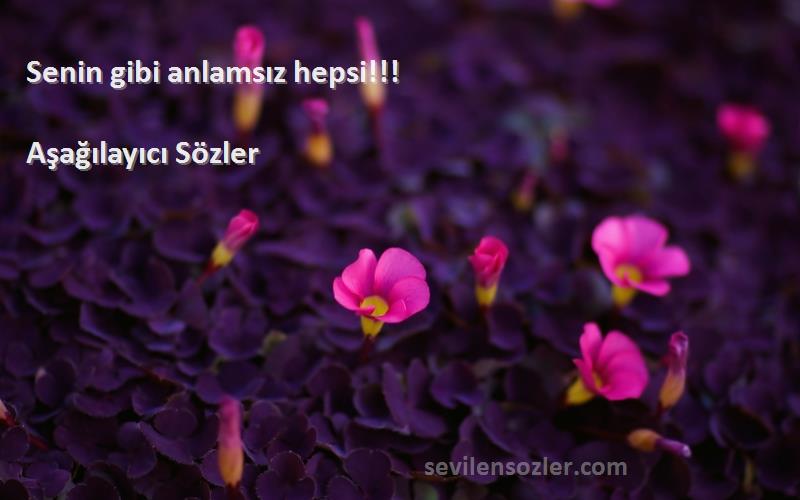Aşağılayıcı Sözler - Senin gibi anlamsız hepsi!!!