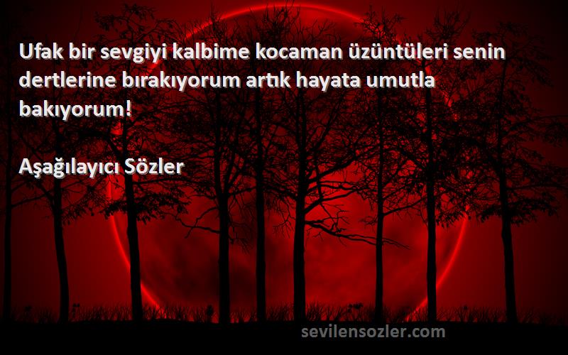 Aşağılayıcı Sözler Sözleri 
Ufak bir sevgiyi kalbime kocaman üzüntüleri senin dertlerine bırakıyorum artık hayata umutla bakıyorum!