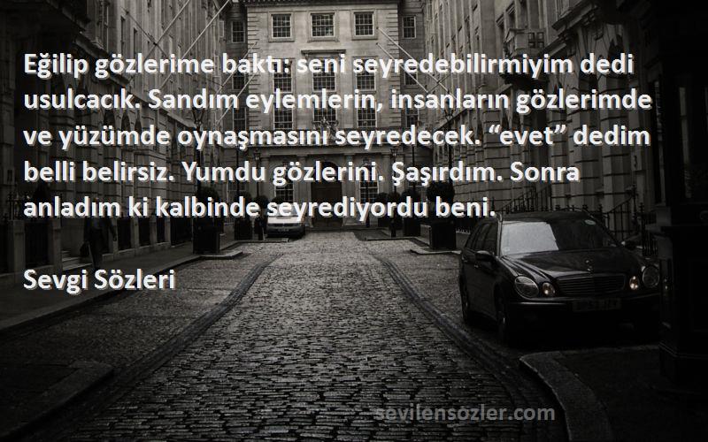 Sevgi  Sözleri 
Eğilip gözlerime baktı: seni seyredebilirmiyim dedi usulcacık. Sandım eylemlerin, insanların gözlerimde ve yüzümde oynaşmasını seyredecek. “evet” dedim belli belirsiz. Yumdu gözlerini. Şaşırdım. Sonra anladım ki kalbinde seyrediyordu beni.