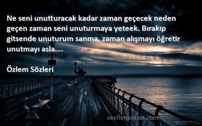 Özlem  Sözleri 
Ne seni unutturacak kadar zaman geçecek neden geçen zaman seni unuturmaya yeteek. Bırakıp gitsende unuturum sanma, zaman alışmayı öğretir unutmayı asla….