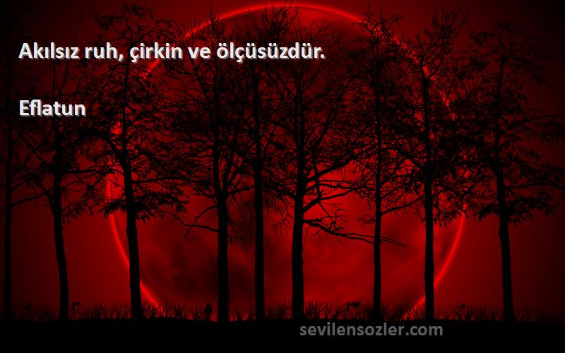 Eflatun Sözleri 
Akılsız ruh, çirkin ve ölçüsüzdür.