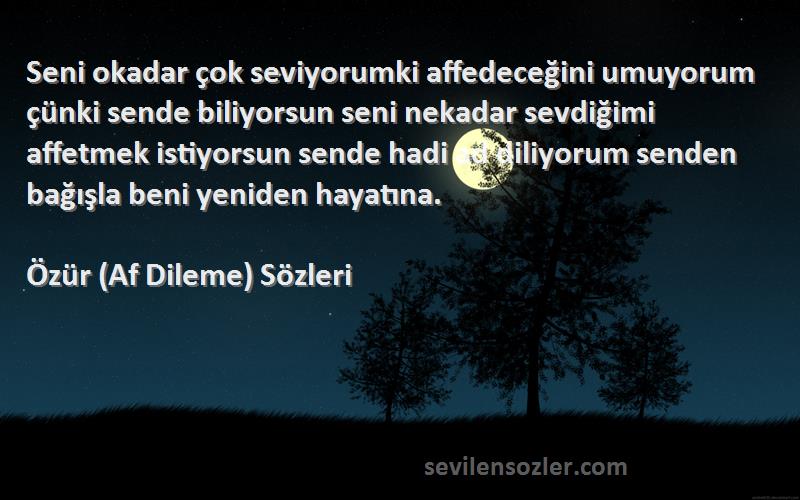 Özür (Af Dileme)  Sözleri 
Seni okadar çok seviyorumki affedeceğini umuyorum çünki sende biliyorsun seni nekadar sevdiğimi affetmek istiyorsun sende hadi ad diliyorum senden bağışla beni yeniden hayatına.