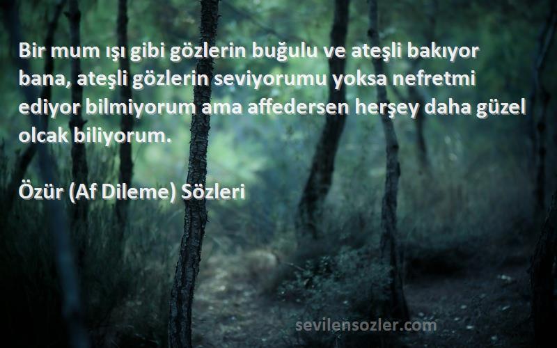 Özür (Af Dileme)  Sözleri 
Bir mum ışı gibi gözlerin buğulu ve ateşli bakıyor bana, ateşli gözlerin seviyorumu yoksa nefretmi ediyor bilmiyorum ama affedersen herşey daha güzel olcak biliyorum.