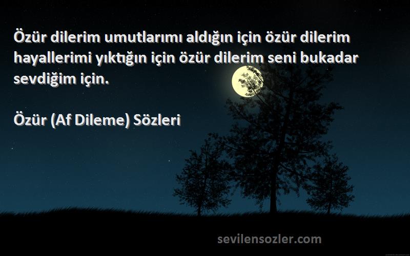 Özür (Af Dileme)  Sözleri 
Özür dilerim umutlarımı aldığın için özür dilerim hayallerimi yıktığın için özür dilerim seni bukadar sevdiğim için.