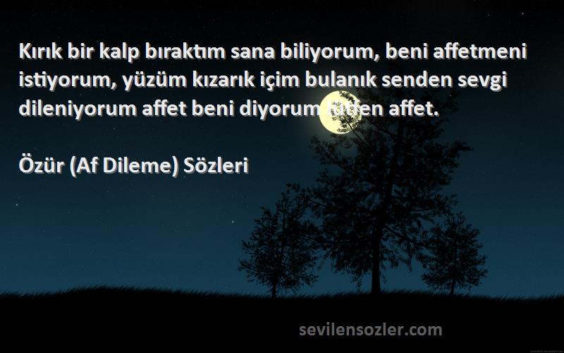 Özür (Af Dileme)  Sözleri 
Kırık bir kalp bıraktım sana biliyorum, beni affetmeni istiyorum, yüzüm kızarık içim bulanık senden sevgi dileniyorum affet beni diyorum lütfen affet.