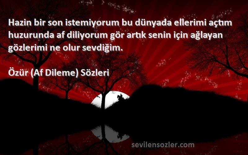 Özür (Af Dileme)  Sözleri 
Hazin bir son istemiyorum bu dünyada ellerimi açtım huzurunda af diliyorum gör artık senin için ağlayan gözlerimi ne olur sevdiğim.