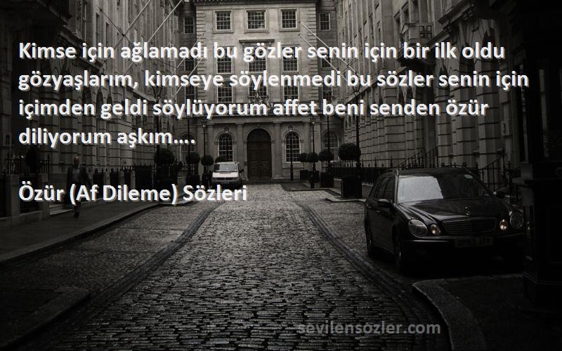 Özür (Af Dileme)  Sözleri 
Kimse için ağlamadı bu gözler senin için bir ilk oldu gözyaşlarım, kimseye söylenmedi bu sözler senin için içimden geldi söylüyorum affet beni senden özür diliyorum aşkım….