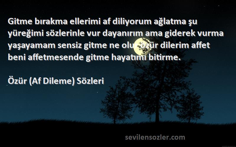 Özür (Af Dileme)  Sözleri 
Gitme bırakma ellerimi af diliyorum ağlatma şu yüreğimi sözlerinle vur dayanırım ama giderek vurma yaşayamam sensiz gitme ne olur özür dilerim affet beni affetmesende gitme hayatımı bitirme.