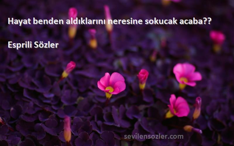 Esprili Sözler - Hayat benden aldıklarını neresine sokucak acaba??