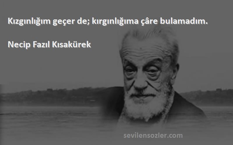 Necip Fazıl Kısakürek Sözleri 
Kızgınlığım geçer de; kırgınlığıma çâre bulamadım.