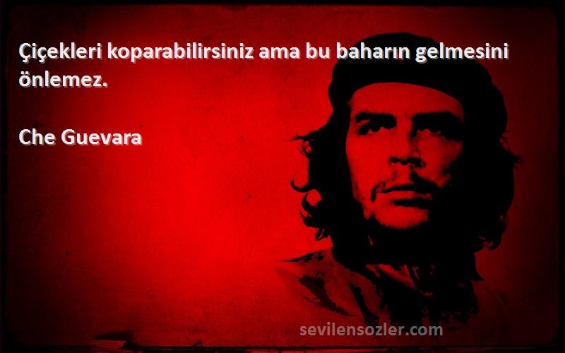 Che Guevara Sözleri 
Çiçekleri koparabilirsiniz ama bu baharın gelmesini önlemez.