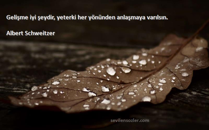 Albert Schweitzer Sözleri 
Gelişme iyi şeydir, yeterki her yönünden anlaşmaya varılsın.