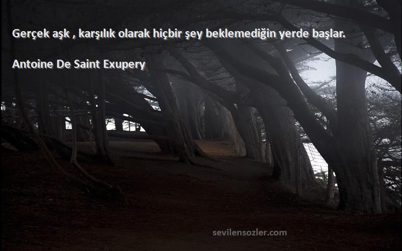 Antoine De Saint Exupery Sözleri 
Gerçek aşk , karşılık olarak hiçbir şey beklemediğin yerde başlar.