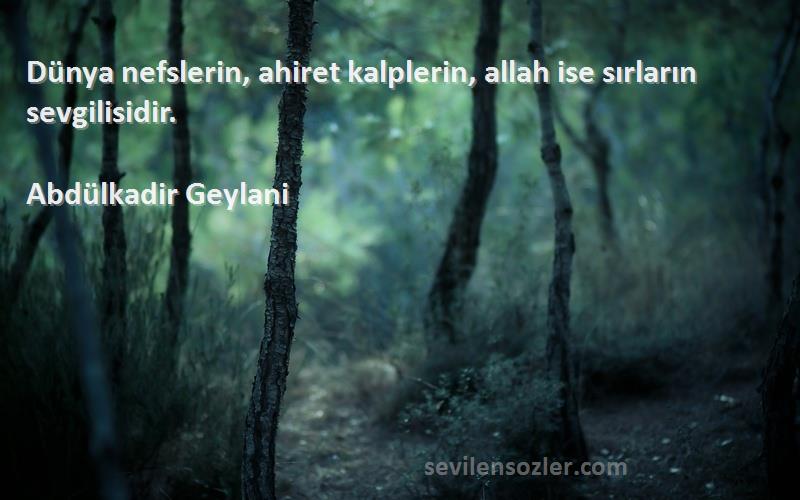 Abdülkadir Geylani - Dünya nefslerin, ahiret kalplerin, allah ise sırların sevgilisidir.