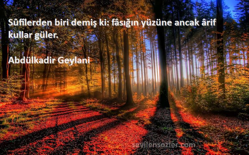 Abdülkadir Geylani - Sûfîlerden biri demiş ki: fâsığın yüzüne ancak ârif kullar güler.