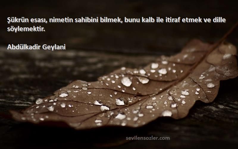 Abdülkadir Geylani - Şükrün esası, nimetin sahibini bilmek, bunu kalb ile itiraf etmek ve dille söylemektir.