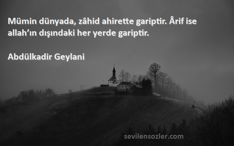 Abdülkadir Geylani - Mümin dünyada, zâhid ahirette gariptir. Ârif ise allah’ın dışındaki her yerde gariptir.