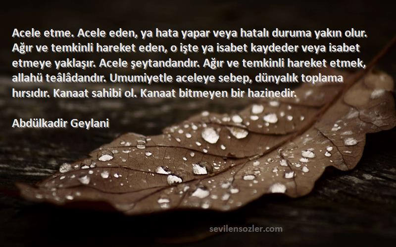 Abdülkadir Geylani Sözleri 
Acele etme. Acele eden, ya hata yapar veya hatalı duruma yakın olur. Ağır ve temkinli hareket eden, o işte ya isabet kaydeder veya isabet etmeye yaklaşır. Acele şeytandandır. Ağır ve temkinli hareket etmek, allahü teâlâdandır. Umumiyetle aceleye sebep, dünyalık toplama hırsıdır. Kanaat sahibi ol. Kanaat bitmeyen bir hazinedir.