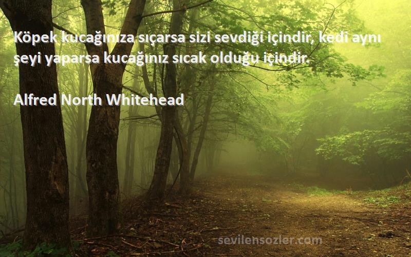 Alfred North Whitehead Sözleri 
Köpek kucağınıza sıçarsa sizi sevdiği içindir, kedi aynı şeyi yaparsa kucağınız sıcak olduğu içindir.