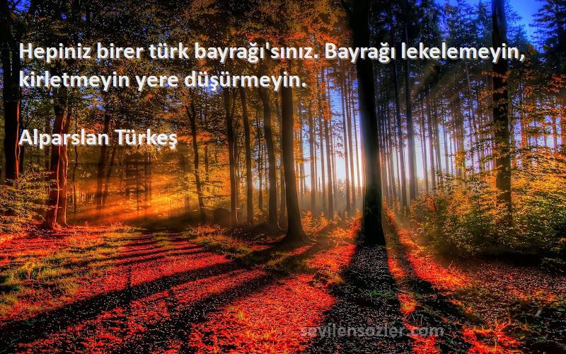 Alparslan Türkeş Sözleri 
Hepiniz birer türk bayrağı'sınız. Bayrağı lekelemeyin, kirletmeyin yere düşürmeyin.