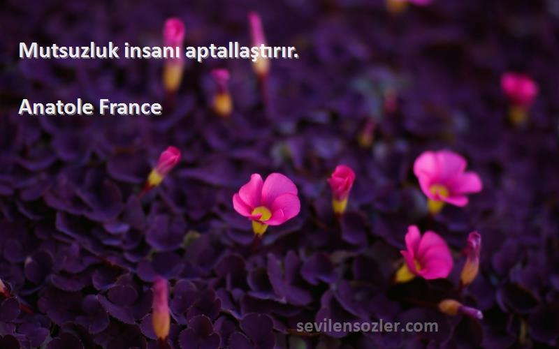 Anatole France Sözleri 
Mutsuzluk insanı aptallaştırır.