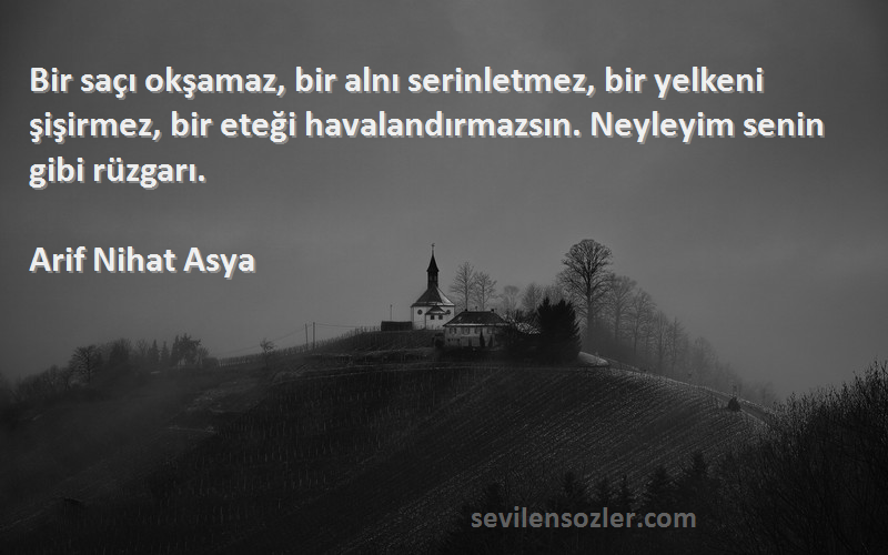 Arif Nihat Asya Sözleri 
Bir saçı okşamaz, bir alnı serinletmez, bir yelkeni şişirmez, bir eteği havalandırmazsın. Neyleyim senin gibi rüzgarı.