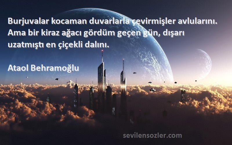 Ataol Behramoğlu Sözleri 
Burjuvalar kocaman duvarlarla çevirmişler avlularını. Ama bir kiraz ağacı gördüm geçen gün, dışarı uzatmıştı en çiçekli dalını.