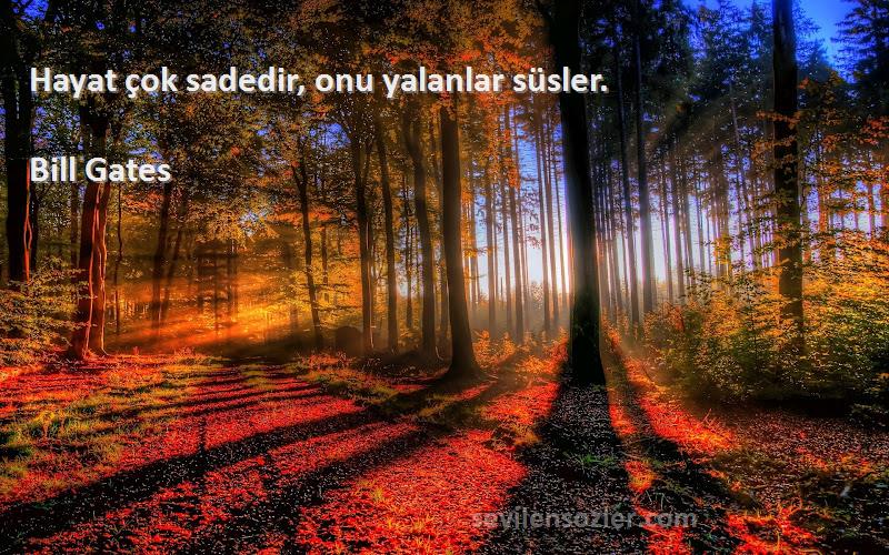 Bill Gates - Hayat çok sadedir, onu yalanlar süsler.