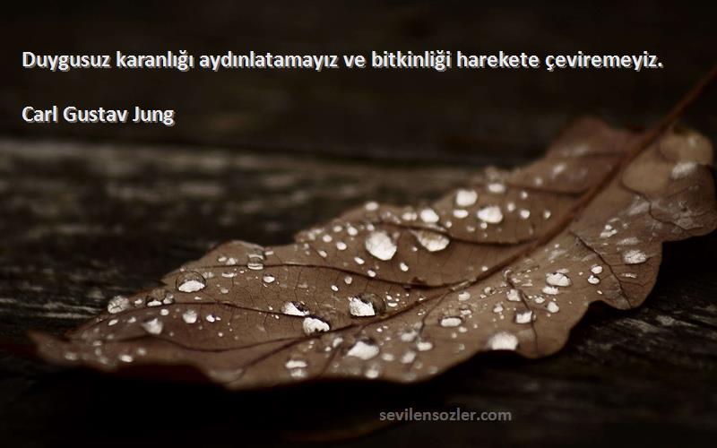 Carl Gustav Jung Sözleri 
Duygusuz karanlığı aydınlatamayız ve bitkinliği harekete çeviremeyiz.