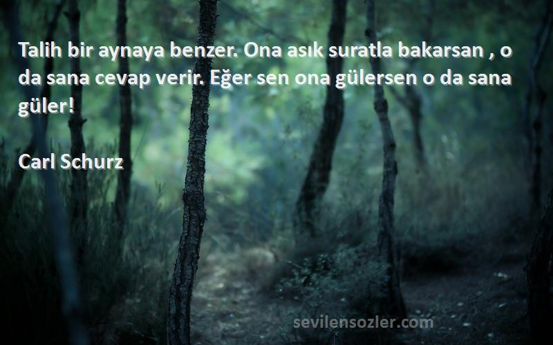 Carl Schurz Sözleri 
Talih bir aynaya benzer. Ona asık suratla bakarsan , o da sana cevap verir. Eğer sen ona gülersen o da sana güler!