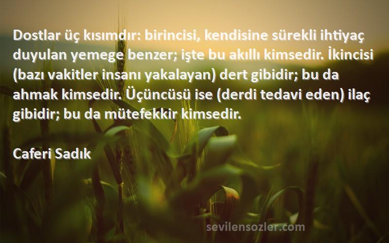 Caferi Sadık Sözleri 
Dostlar üç kısımdır: birincisi, kendisine sürekli ihtiyaç duyulan yemege benzer; işte bu akıllı kimsedir. İkincisi (bazı vakitler insanı yakalayan) dert gibidir; bu da ahmak kimsedir. Üçüncüsü ise (derdi tedavi eden) ilaç gibidir; bu da mütefekkir kimsedir.