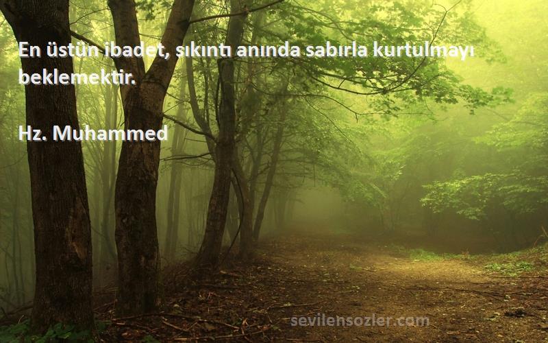 Hz. Muhammed - En üstün ibadet, sıkıntı anında sabırla kurtulmayı beklemektir.